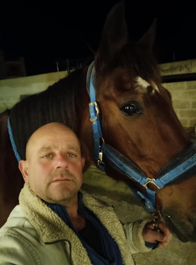 White Stallion Mellieħa Eksteriør billede