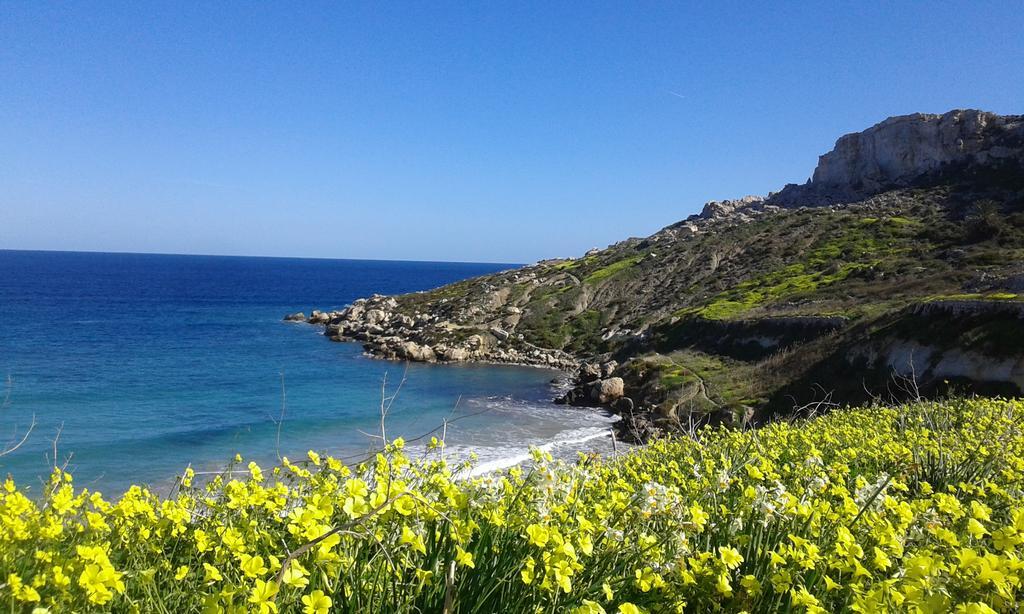 White Stallion Mellieħa Eksteriør billede
